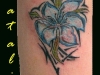 natali_tattoo-17